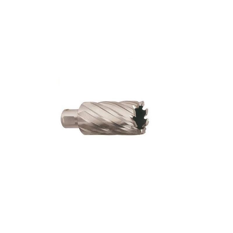 FRAISE A FILETER 20X50 MM P1M MILWAUKEE