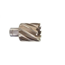 FRAISE A FILETER 34X30 MM P1M 4932371743