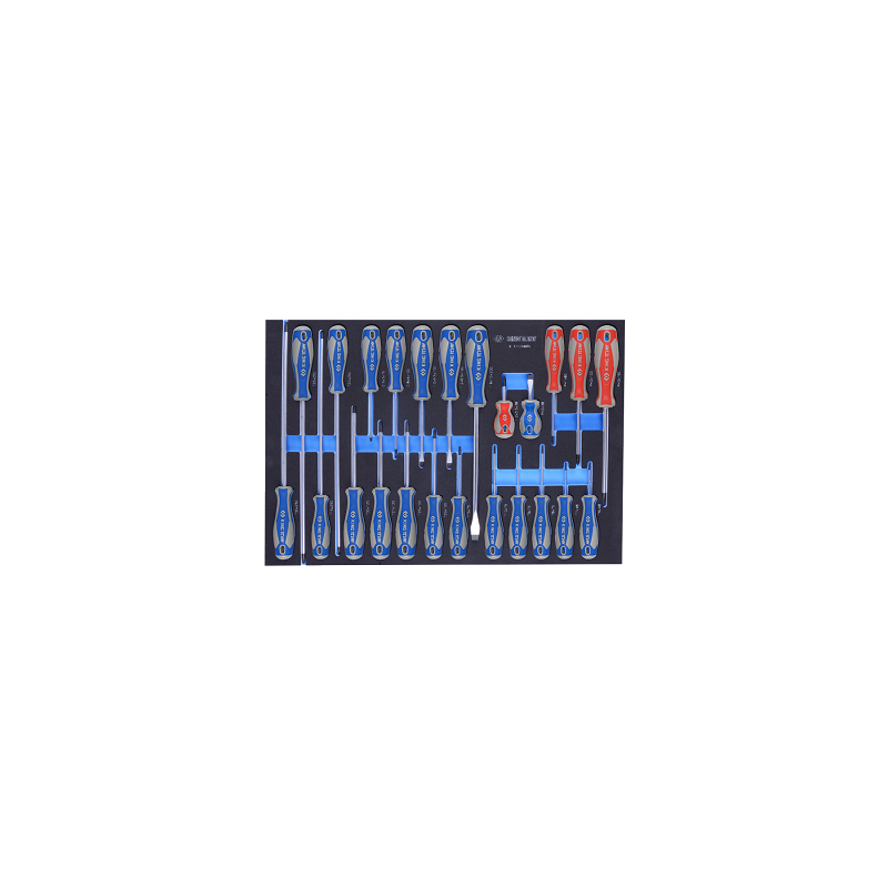 MODULE POUR SERVANTE 24PCS TOURNEVIS FT PH TX-KT