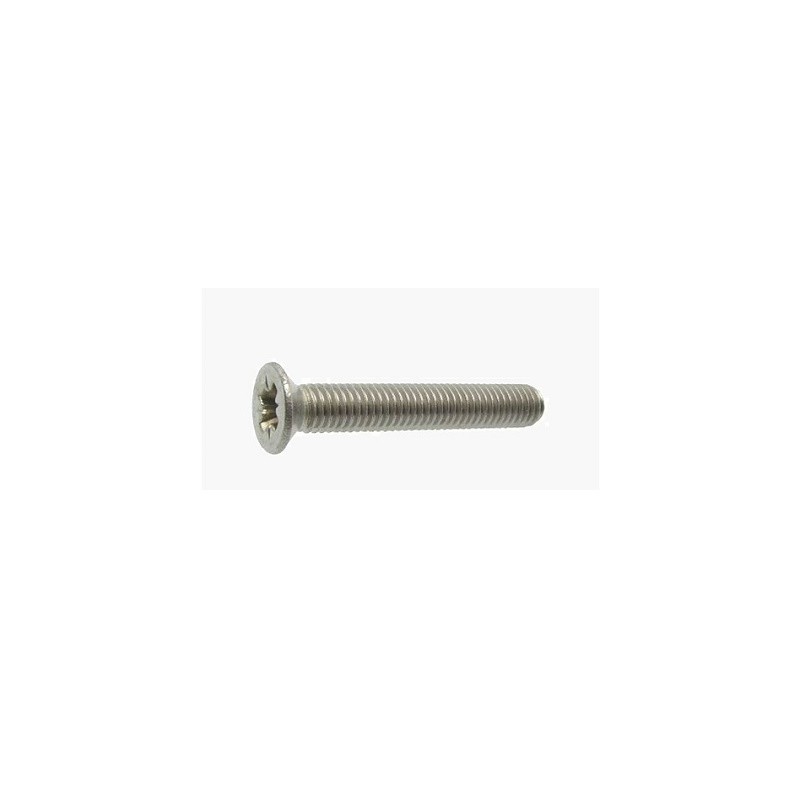VIS METAUX TF POZI M6X25 INOX A2 PQT +-- 100PCS