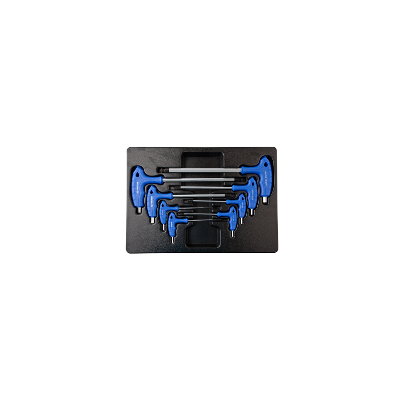 MODULE POUR SERVANTE 8 PIECES CLE MALE A POIGNEE L MODULE POUR SERVANTE 8 PIECES CLE MALE A POIGNEE L