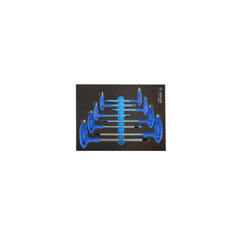 MODULE POUR SERVANTE 8 PIECES CLE MALE A POIGNEE L