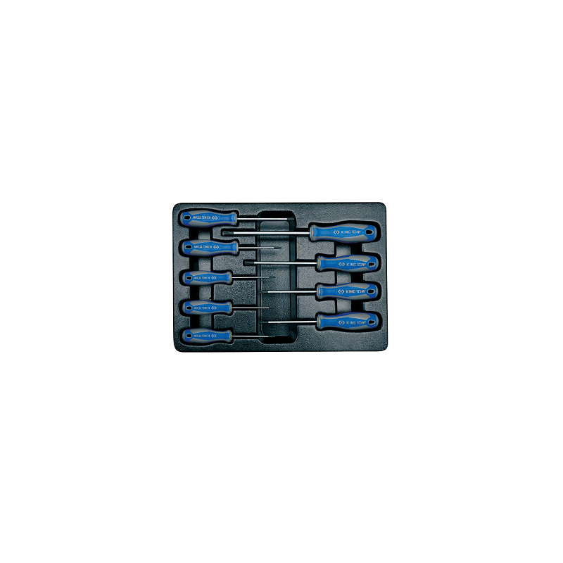 MODULE POUR SERVANTE 9PCS TOURNEVISE TORX MODULE POUR SERVANTE 9PCS TOURNEVISE TORX