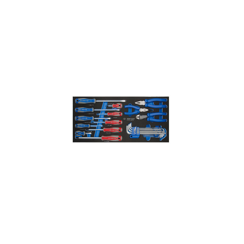 MODULE POUR SERVANTE 29PCS TOUNRVIS-PINCE-CLE MAL