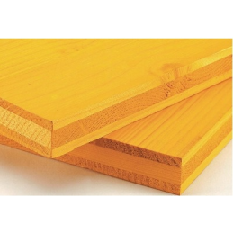 PANNEAU DE COFFRAGE-3 PLIS-2000X500X27MM-LANA