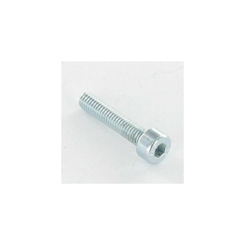 VIS CHC DIN 912 M6X20 INOX A4 PQT +-- 100PCS