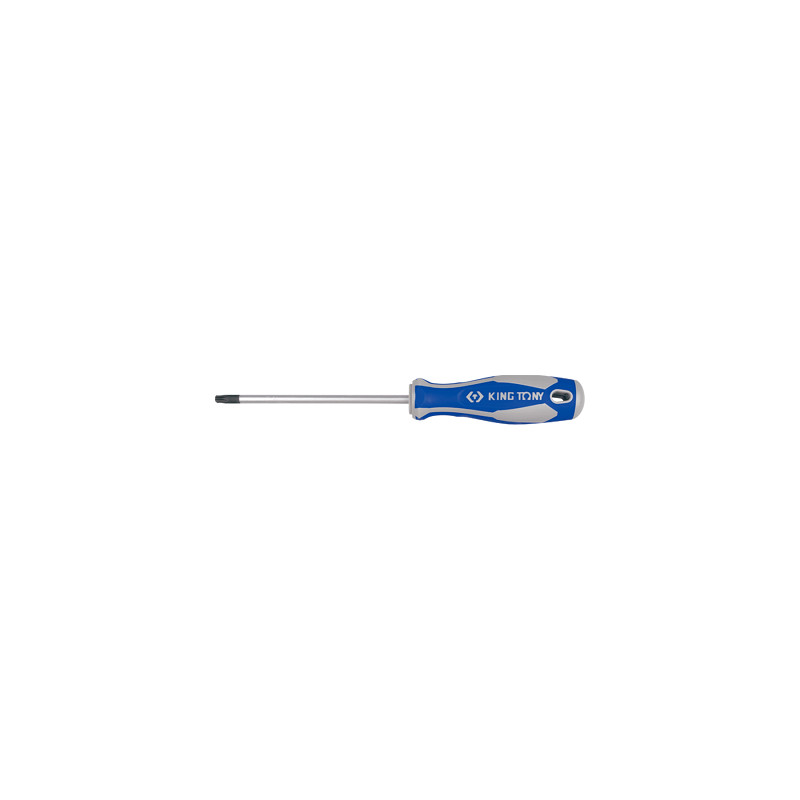 TOURNEVIS RESISTORX® T20 - 5x100 LAME RONDE