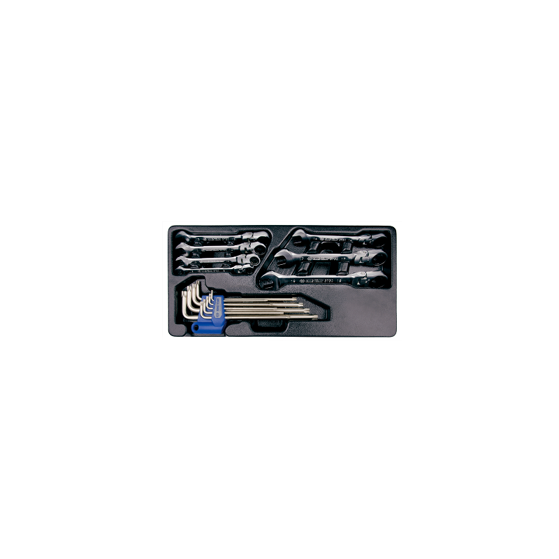 MODULE POUR SERVANTE 16PCS CLE CLIQUET-CLE MALE MODULE POUR SERVANTE 16PCS CLE CLIQUET-CLE MALE