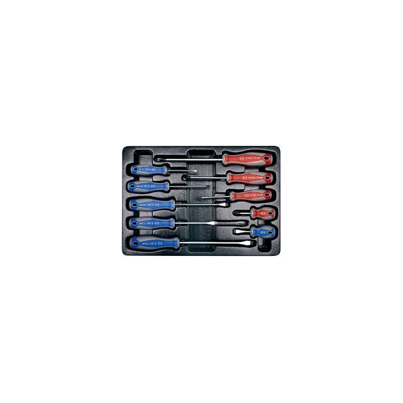 MODULE POUR SERVANTE 10PCS TOURNEVIS FENTE + PH-KT