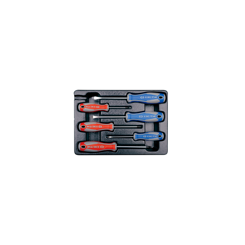 MODULE POUR SERVANTE 6PCS TOURNEVIS FENTE + PH-KT
